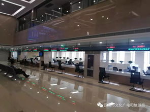 郑州市优化政务服务 文化广电和旅游局政务服务事项入驻市政务服务办事大厅